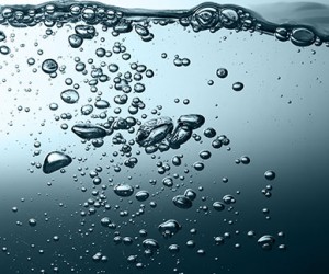 Aquatic/water filtration\ image